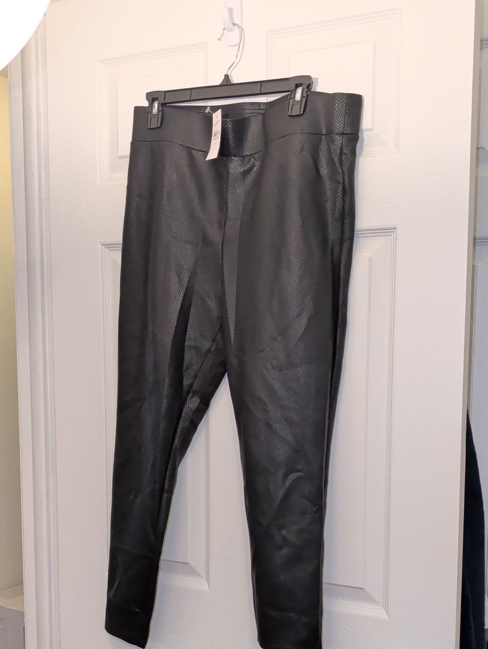 NWT Loft Snake print Leggings Size Large